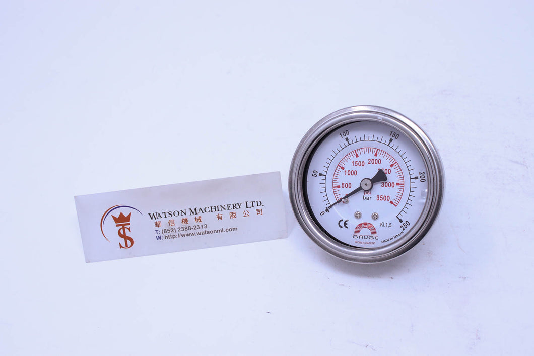 Watson Stainless Steel 250K Back Connection Pressure Gauge